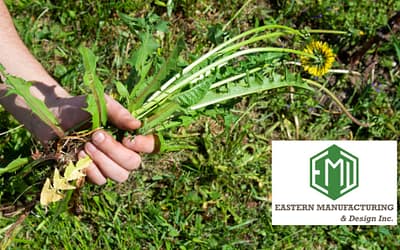 Apple Orchard Weed Control: 7 Smart Strategies to Reduce Weeds Fast