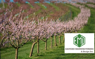7 Powerful Orchard Floor Management Practices for Better Weed Control and Healthier Trees